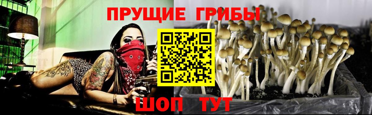Псилоцибиновые грибы Cubensis  Вход с VPN  Псилоцибиновые грибы ЛСД  Ликино-Дулёво 